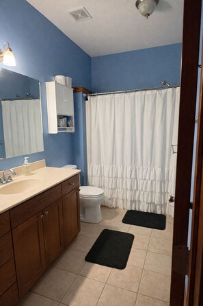 Shower, towels, soap, toilet paper - 5 Bedroom Pet Friendly Home 10 Minutes from Airport Perfect for World Cup. (Platte City)