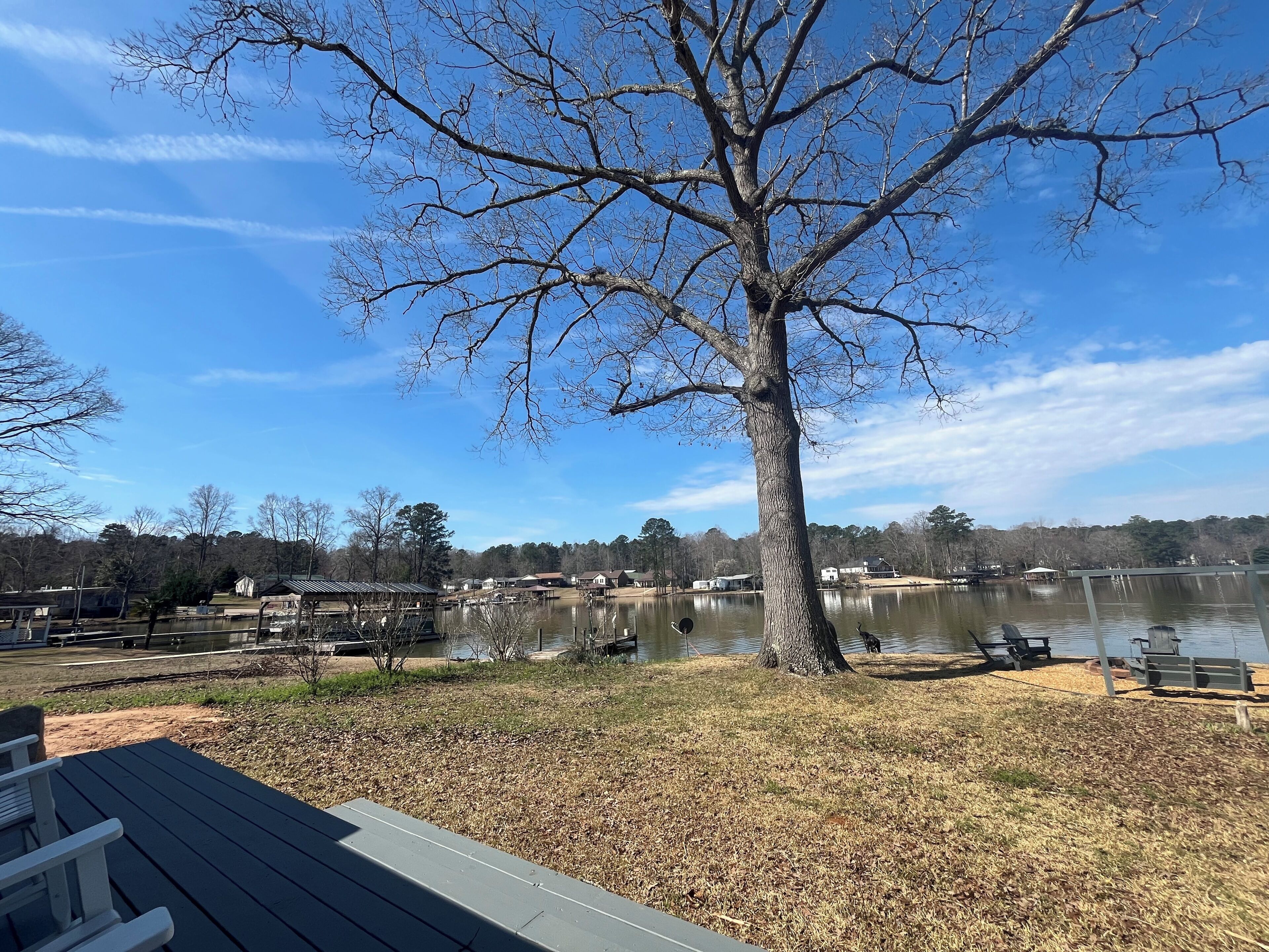 A lakeside view with a large tree, docked boats, and a wooden deck.