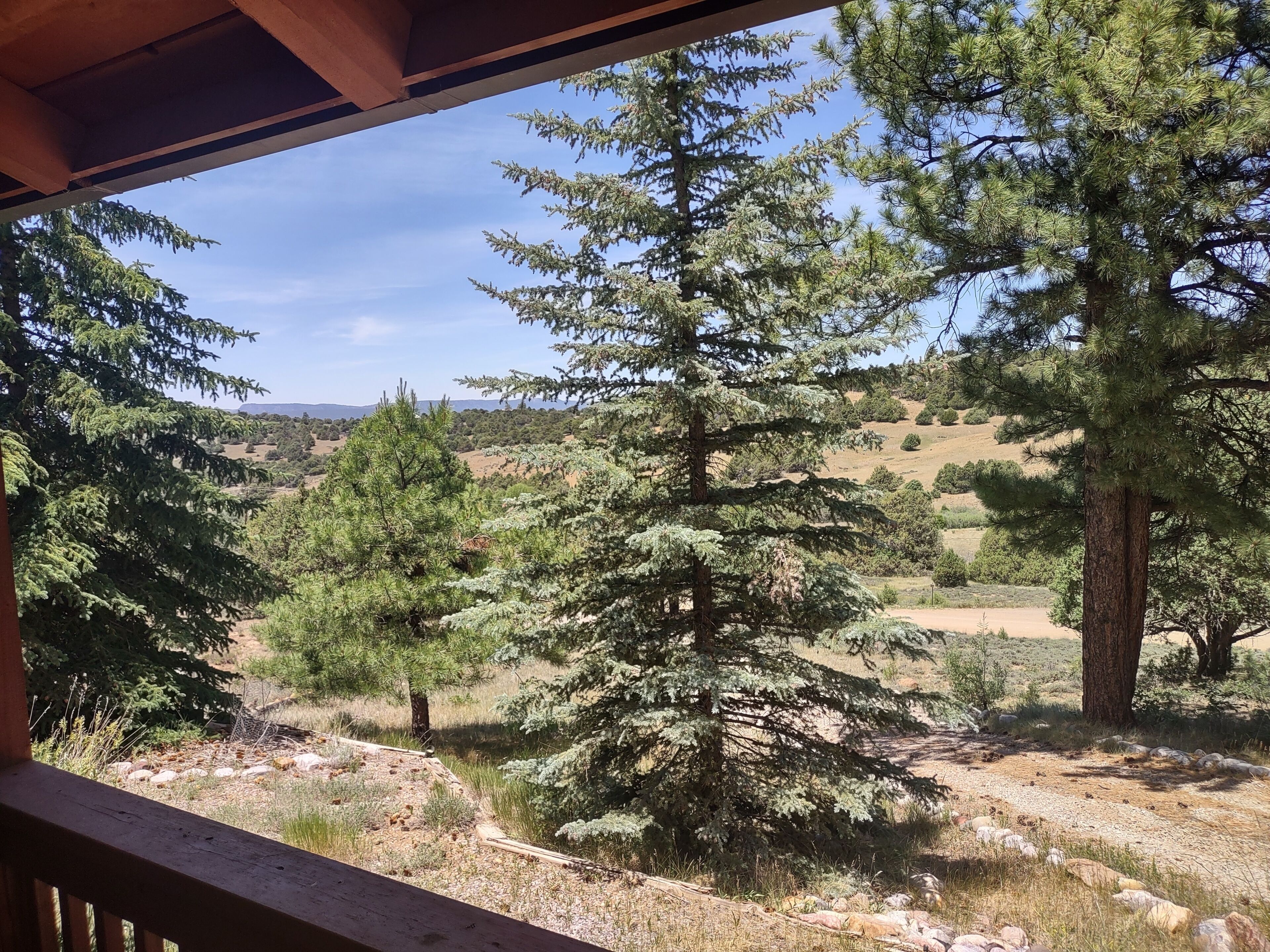 Une vue depuis un espace abrité, doté d’une balustrade en bois, donnant sur un paysage composé de plusieurs arbres à feuilles persistantes et, au loin, sur un terrain vallonné.