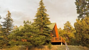 Eine Holzhütte mit einer Holzterrasse und einem grünen Dach, umgeben von Nadelbäumen.