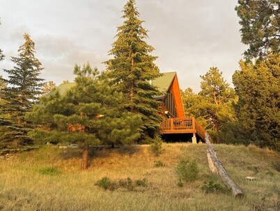 Peaceful Ponderosa Cabin in Chama - Updated 3BR Home in the Mountains
