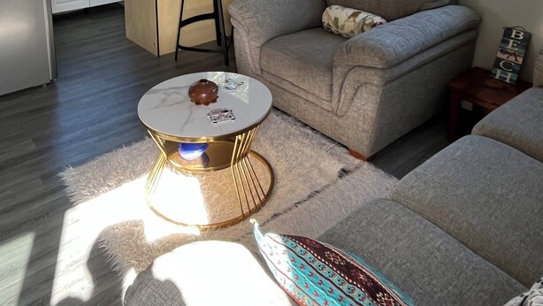A compact living space with a kitchenette, a sofa, a small round table, and a view of greenery outside.