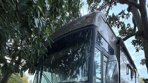 Een geparkeerde bus op kunstgras, omgeven door bomen en een houten hek.