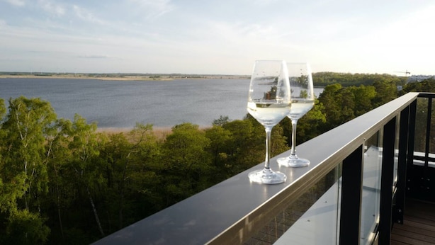 Un balcón con vista despejada al agua y árboles.