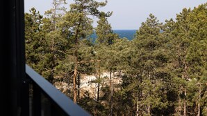 A dense forest of pine trees with a rocky outcrop and a view of the sea in the distance. - Duna Taras Shellter Rogowo Morze (Trzebiatow)