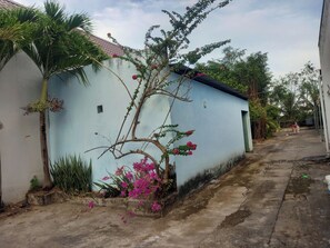 Property grounds - Nha nghi Nguyen Bao  - Tran De Con Dao (Tran De)