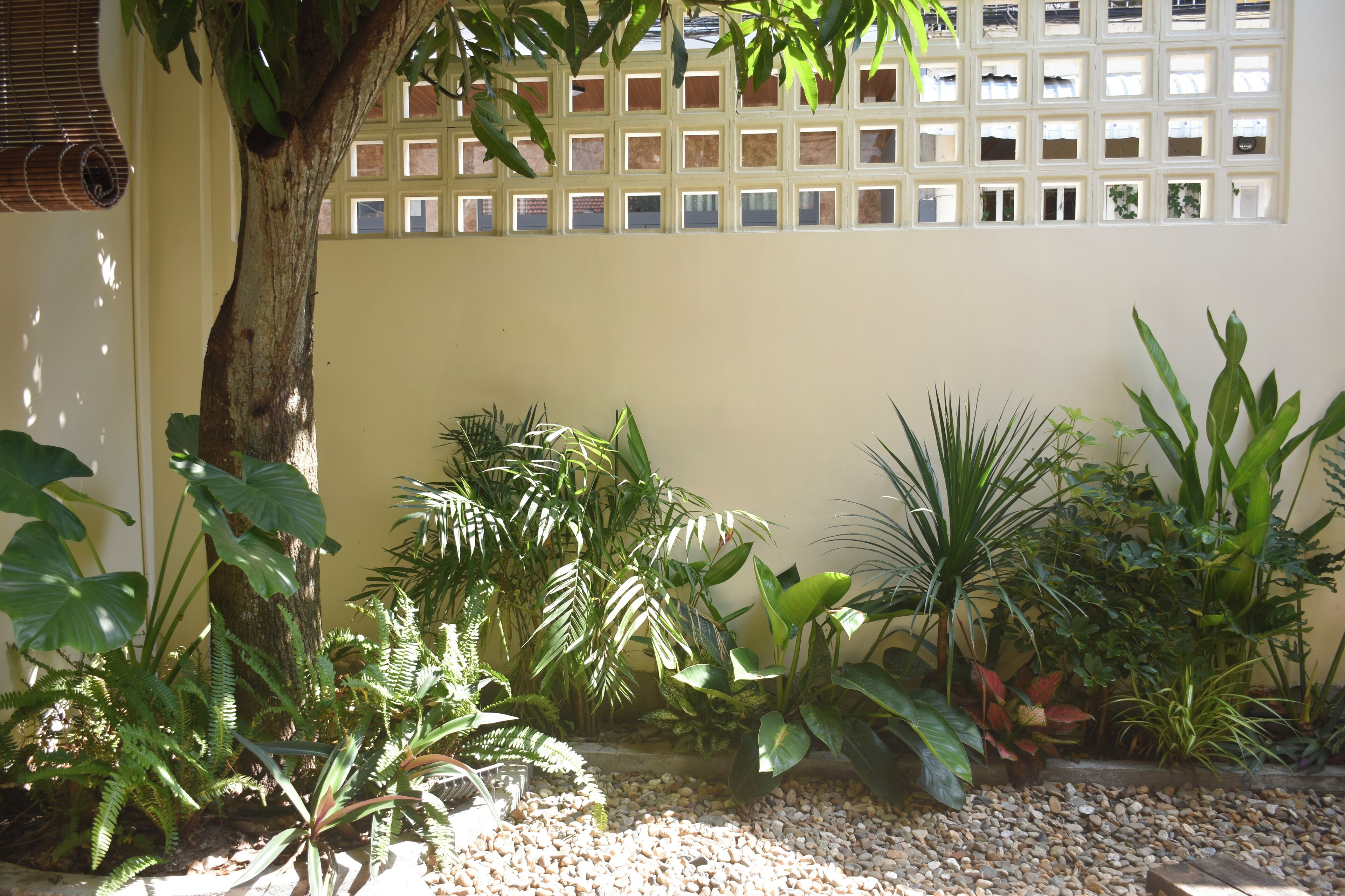 슈피리어 스튜디오, 정원 전망 | 숙박 시설 구내