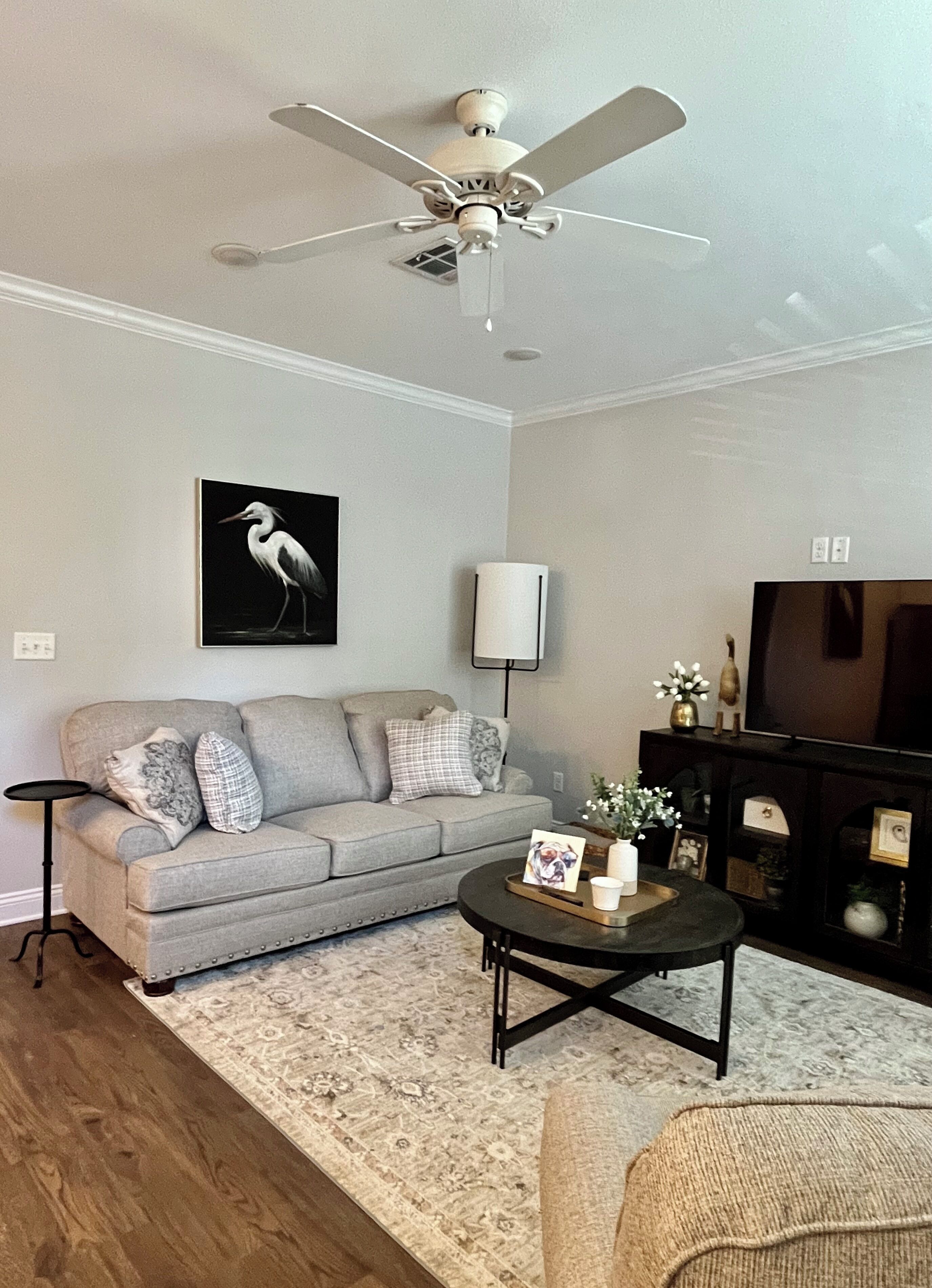 Uma sala de estar com ventilador de teto, um sofá cinza com almofadas decorativas, uma mesa de centro com porta-retrato e velas, um aparador com objetos decorativos e um tapete estampado.
