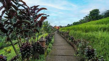 Área da propriedade