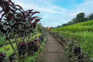 Área da propriedade