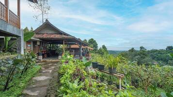 A traditional wooden structure with a tiled roof, surrounded by lush greenery and a stone pathway leading to a covered seating area.