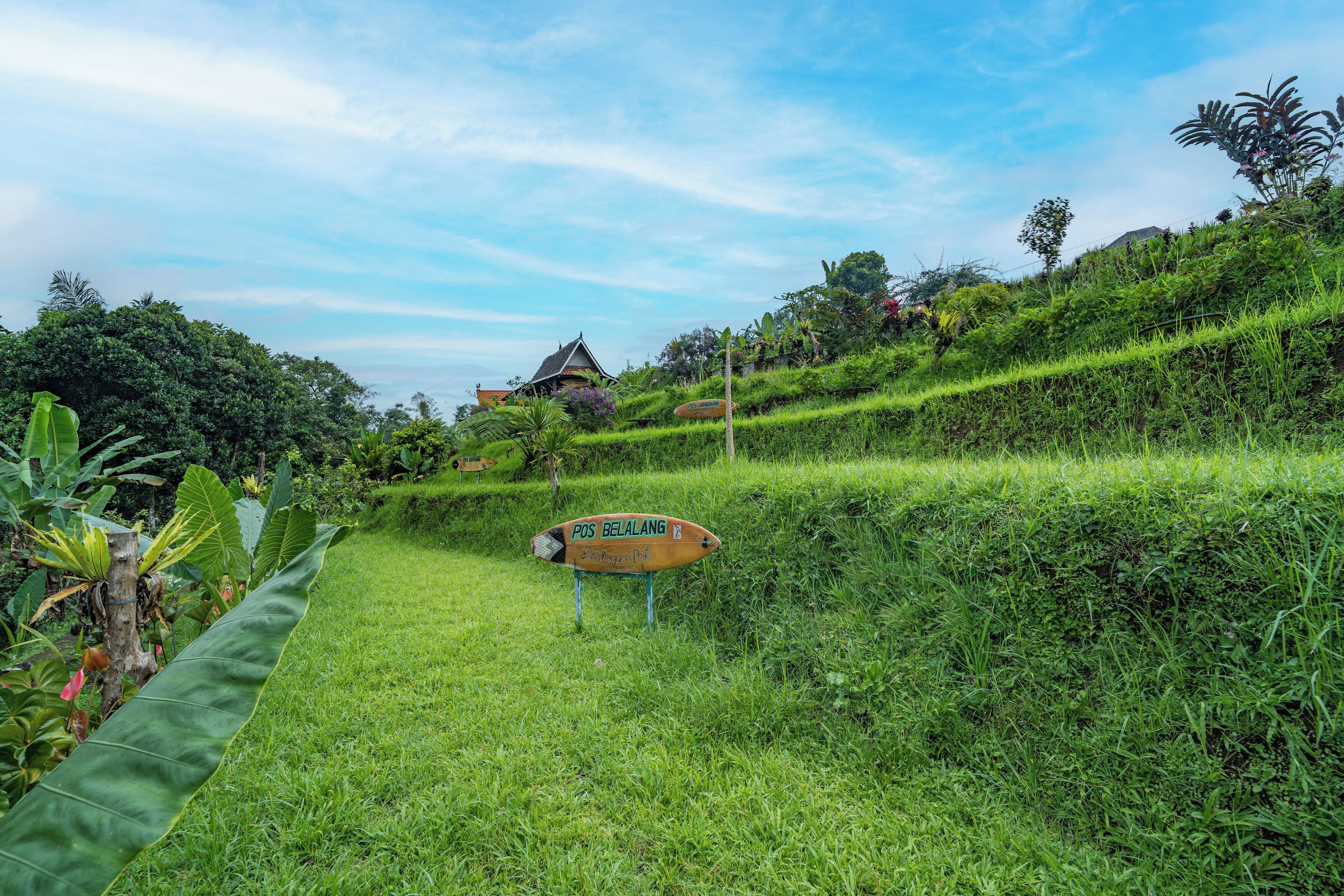 A lush green landscape with a sign indicating a location named 'POS BELALGANG.'