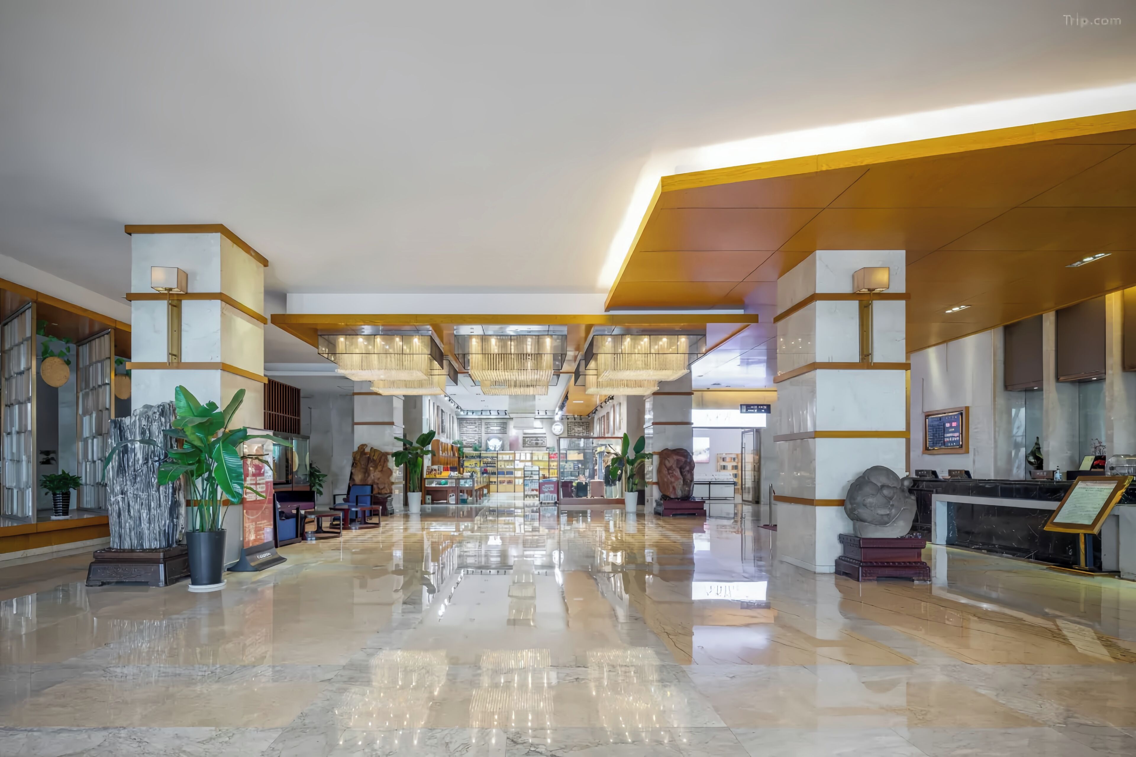 A spacious lobby with a polished marble floor, a reception desk, and potted plants.