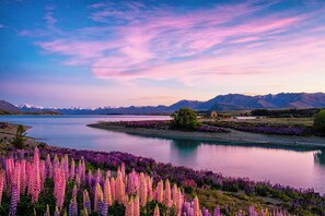 Miscellaneous - The Black Beech House - Starfall -Luxury Cedar Tub (Lake Tekapo)