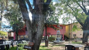 A patio area with outdoor seating, a large tree, and a building with a red facade in the background.
