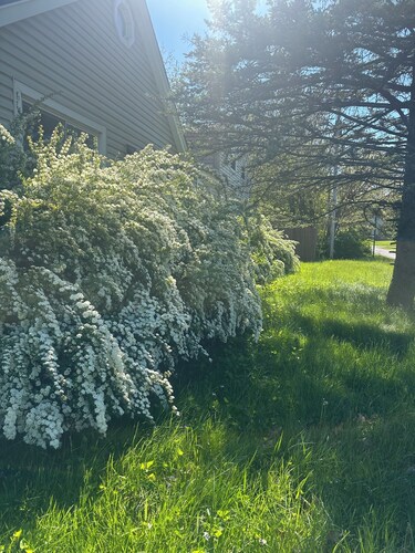 Spacious 5-bedroom house in wonderful Toledo with AC, heating and pool