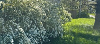 Spacious 5-bedroom house in wonderful Toledo with AC, heating and pool