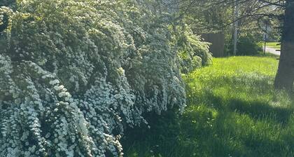 Spacious 5-bedroom house in wonderful Toledo with AC, heating and pool