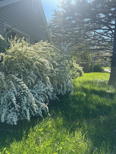 Spacious 5-bedroom house in wonderful Toledo with AC, heating and pool