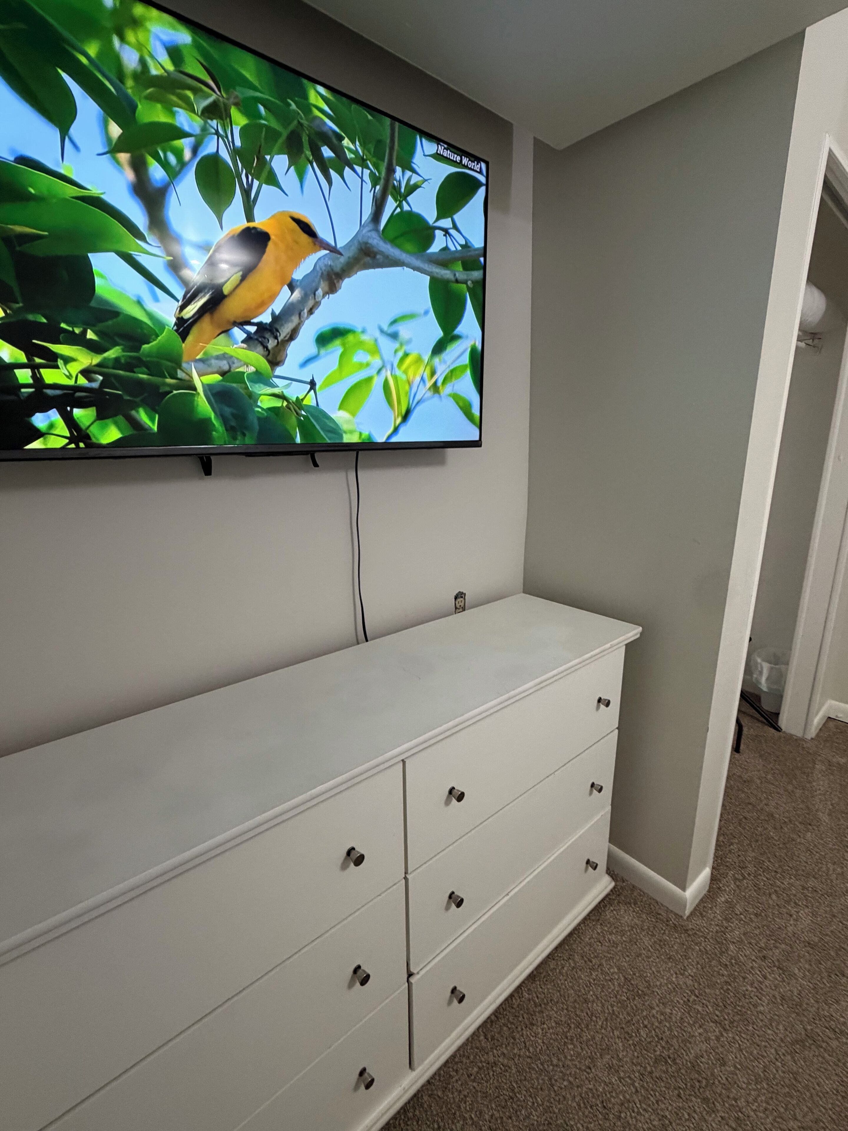 Un televisor montado en la pared con una imagen de naturaleza, un aparador blanco debajo y suelo alfombrado.