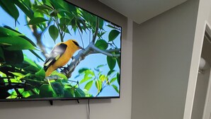 Een televisie aan een muur bevestigd, met een scherm waarop natuur te zien is, een witte dressoir eronder en een vloerbedekking.