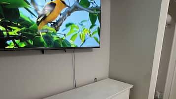 Un televisor montado en la pared con una imagen de naturaleza, un aparador blanco debajo y suelo alfombrado.