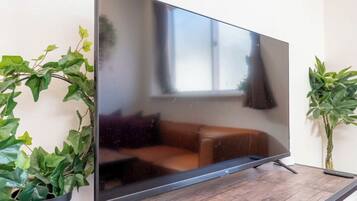 Family House, City View | Television