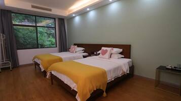 Twin Room, Mountain View