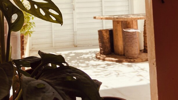 A potted plant with large leaves in the foreground, a wooden table, and a closed white door in the background. - Bossa Nova Home - a private house 5 minutes from the beach with Brazilian style! (Barra dos Coqueiros)