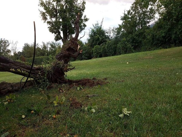 Apartamento | Vistas desde el alojamiento