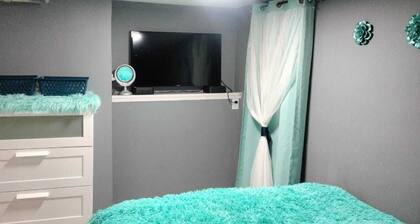 Cozy 2-bedroom house in pleasant Hempstead with AC and fitness room