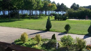 Un jardín ajardinado con césped, árboles y un columpio.