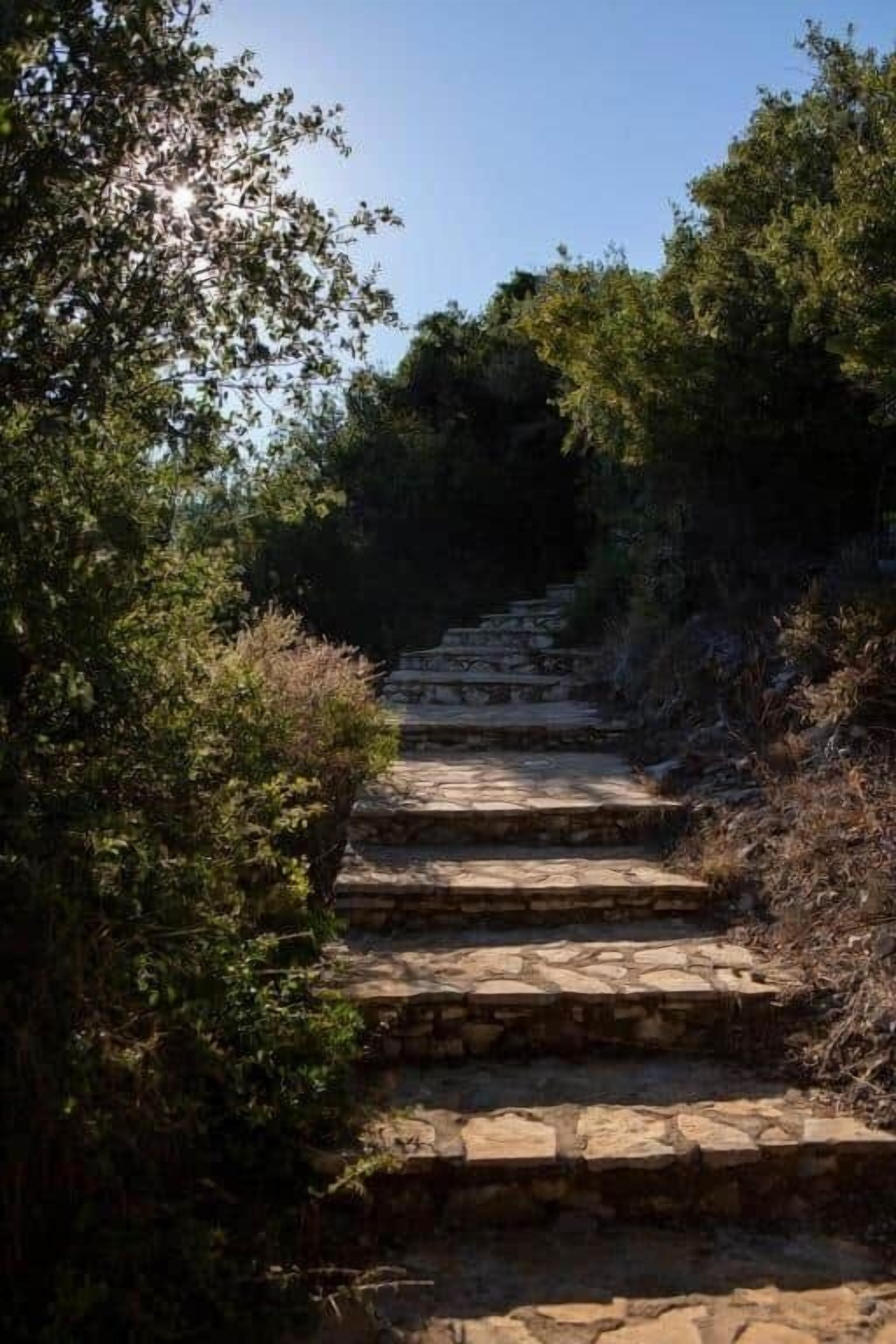 Escadaria de pedra rodeada por vegetação.