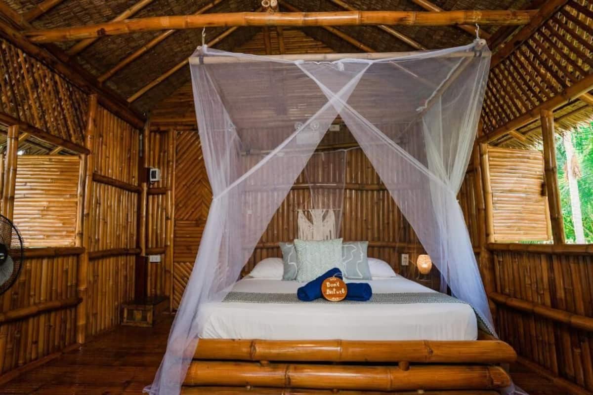 Cottage, quang cảnh vườn