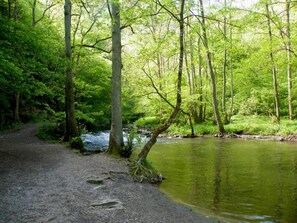 Une zone boisée avec un sentier de gravier menant à une rivière paisible.