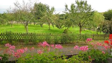 A garden with trees and pink flowers.