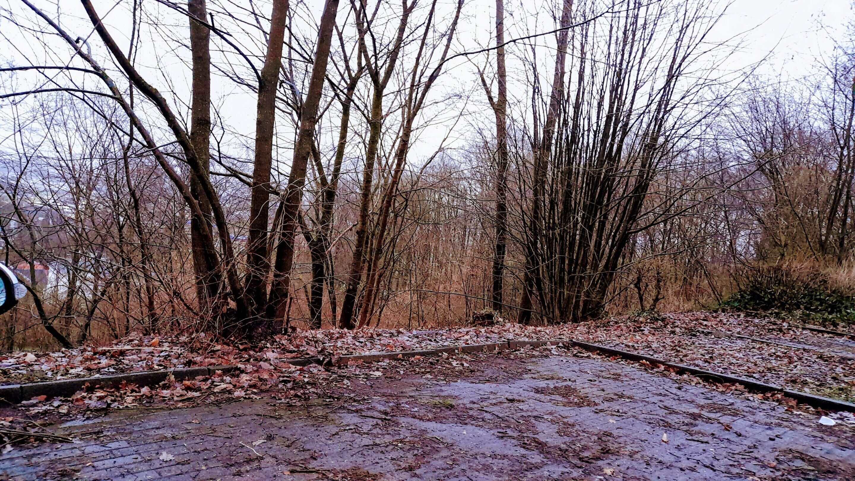 Appartement | Uitzicht vanuit accommodatie