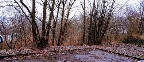 Appartement | Vue depuis lâhĂ©bergement