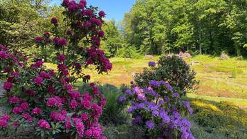 Apartemen | Pemandangan dari properti