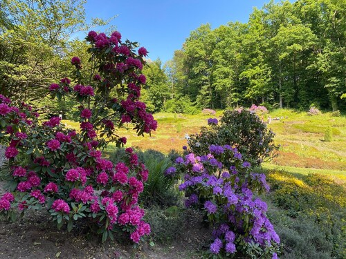 Sunday Hotel Saarbruecken Sued Double Room