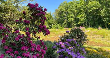 Sunday Hotel Saarbruecken Sued Double Room