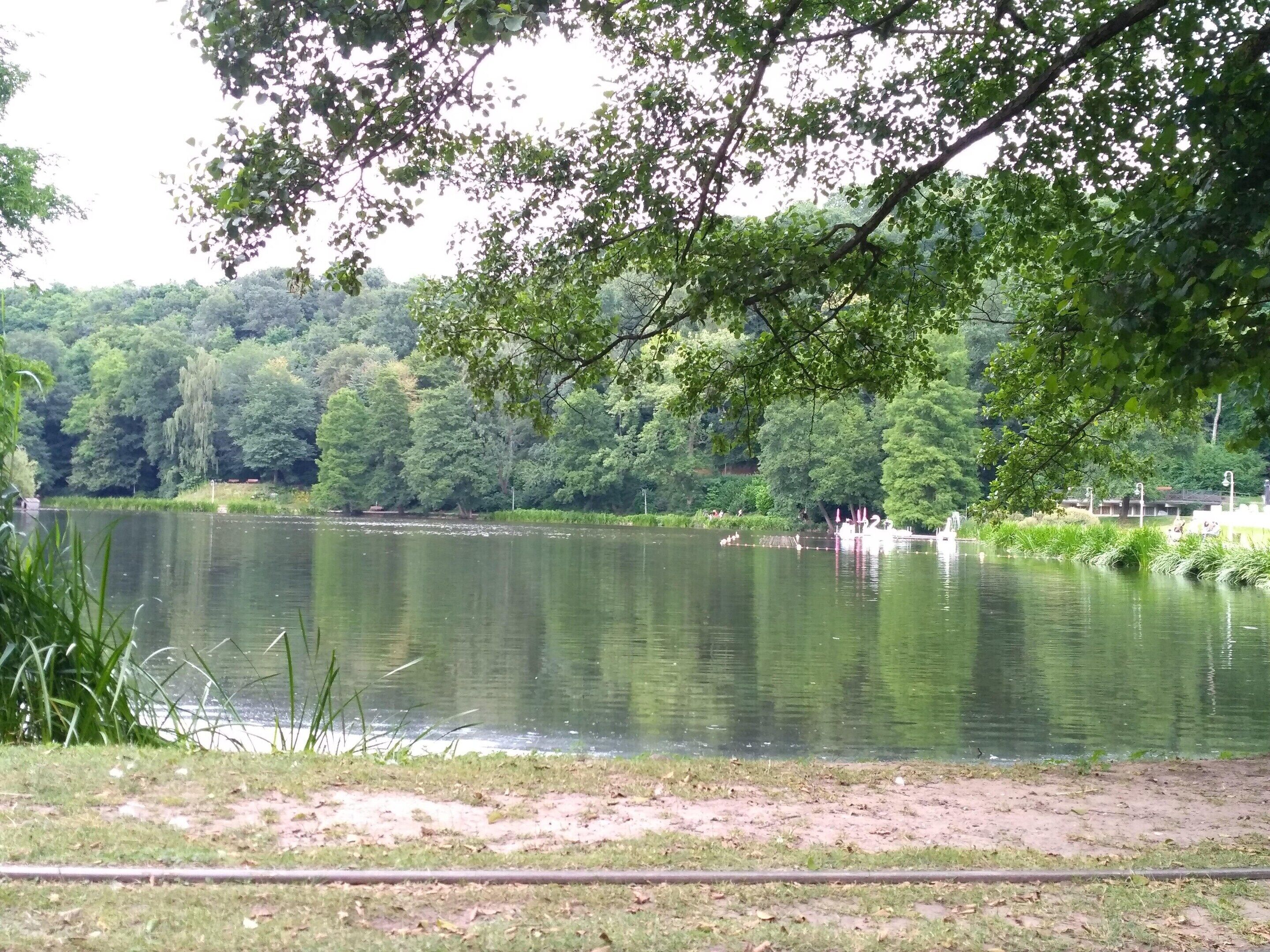 A serene lake surrounded by dense greenery and trees.