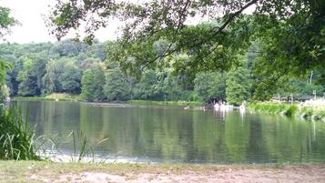 A serene lake surrounded by dense greenery and trees.