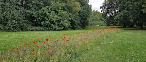 Appartement | Vue depuis lâhĂ©bergement