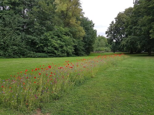 Sunday Hotel Bielefeld Superior King Room