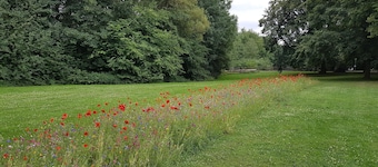 Sunday Hotel Bielefeld Superior King Room