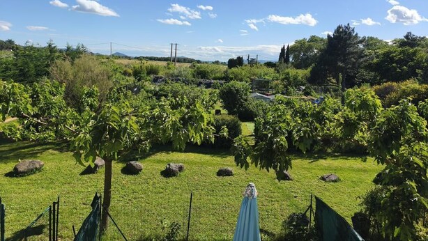 Un espace extérieur enherbé, agrémenté d’arbres et délimité par une clôture.