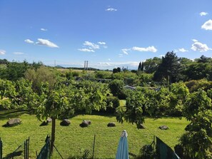 A grassy outdoor area with trees and a fence. - Gite du Haut with terrace (Montélimar)