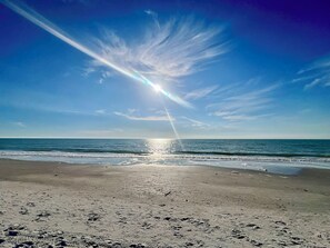Beach - Newly Remodeled Home in the Heart of St. Pete (St. Petersburg)