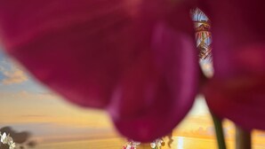 A person in a bathtub filled with bubbles, surrounded by flowers. - Dream & Relax Villa Fiore Romantic rooms with jacuzzi, Polynesian style. (Bari)